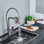 Torneira Gourmet para Cozinha Monocomando Guindaste com Filtro